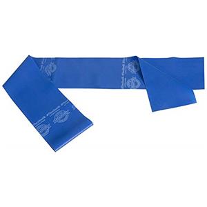 Theraband Fascia elastica di resistenza in gomma per allenamento pesante/palestra/yoga e fisioterapia (blu)