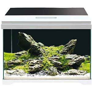 AMTRA MODERN TANK 40 LED - Acquario completo di illuminazione LED e filtro interno / cm 42,5x23,5x36,5 / 28 Litri