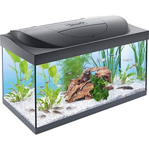 Tetra Starter Line Acquario LED, Set Completo con Illuminazione a LED, Acquario Stabile per Principianti con Tecnologia, Cibo e Prodotti per la Cura, 54 L, Nero/Trasparente, 61 x 36 x 32 cm