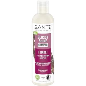 SANTE Naturkosmetik Glossy Shine - Shampoo con estratto di betulla biologico + complesso proteico a 3 strati, vegano e idratante per una maggiore lucentezza e morbidezza, con delicato profumo di