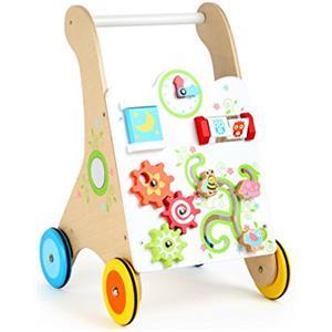 Small Foot- Carrello Primi Passi in Legno Stabile, Colore, 10745