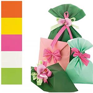 PNP Buste Regalo Mat Pearly B - 100 Pezzi - 20x35 cm - 40 Micron - Assortimento 5 Colori