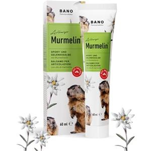 Bano Arlberger Marmot Sport e unguento per le articolazioni I Unguento originale Marmot I Made IN Austria I con Olio di Marmotta | Arnica | Olio di pino mugo | Mentolo 60 ml
