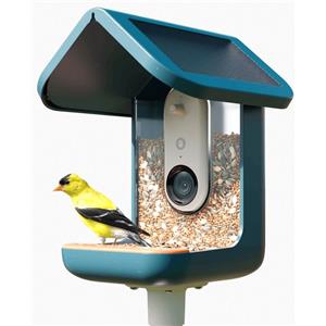 Bird Buddy 2.0 - Mangiatoia Intelligente per Uccelli con Pannello Solare, Fotocamera 5 MP e Streaming Video HD 2K