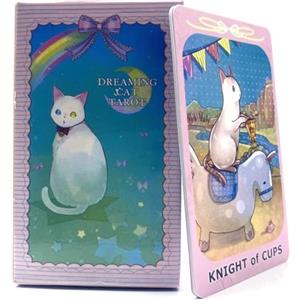 EULAPGOE Witch Set tarocco, Rider Waite tarocco, Scatola Colorata Vintage per Principianti e Giocatori Professionisti (Cat Tarocchi)