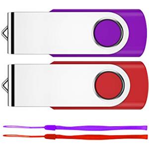 Fesaymi 64GB Chiavetta USB 2 Pezzi, Fesaymi Pen Drive 64GB Penna USB 2.0 Unità Chiavette 64 Giga Pendrive offerta Pennetta USB Flash Drive Memoria Per PC/Tablet/TV/Auto(Multicolor)