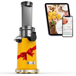 AAOBOSI Estrattore frutta e verdura AOBOSI-Mini estrattore con funzione di masticazione inversa -estrattore di succo con spazzola e 2 tazze -150W estrattore a freddo - Spremiagrumi elettrico-Giallo.