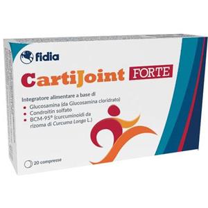 FIDIA FARMACEUTICI SpA CARTIJOINT FORTE 20CPR