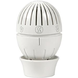 TESTA TERMOSTATICA CON SENSORE A LIQUIDO GIACOMINI R470X001