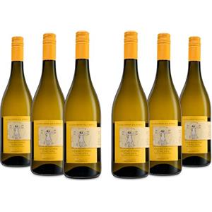 Leonardo Da Vinci Vermentino Toscana IGT, Vino Bianco dal Gusto Limpido ed Equilibrato e Profumi Floreali, 12.5% Vol, Confezione con 6 Bottiglie da 750 ml