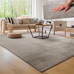 Paco Home Tappeto Moderno e Morbido per Soggiorno a Pelo Corto Lavabile Fluffy Uni Effetto Pelliccia Senza Tempo Elegante Antiscivolo Facile da Pulire, Dimensione:300x400 cm, Colore:Grigio