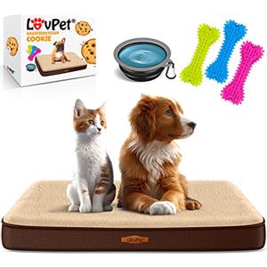 Lovpet® Letto ortopedico per cani M 76x51x7.6 cm, Cestino Cookie, con Ciotola + 3X Ossi da Masticare, Divano per Cani di Piccola, Media e Grande Taglia, Sfoderabile e Lavabile, Marrone/Beige