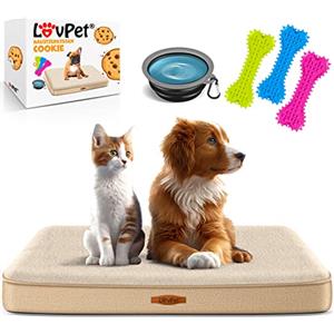 Lovpet® Letto ortopedico per cani M 76x51x7.6 cm, Cestino Cookie, con Ciotola + 3X Ossi da Masticare, Divano per Cani di Piccola, Media e Grande Taglia, Sfoderabile e Lavabile, Beige