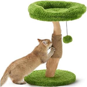 FUKUMARU Albero Tiragraffi per Gatti Piccolo, Alto 51cm, Tiragraffi in Legno Massello con Lettino, Piccolo Albero per Gatti da Interno con Corda di Iuta Naturale e Peluche Morbido.