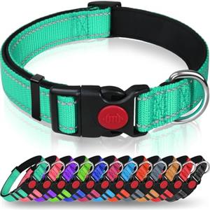 Taglory collare per cani, Imbottito Nylon Regolabile Traspirante Riflettente Collari per Cani di Taglia Media, Turchese
