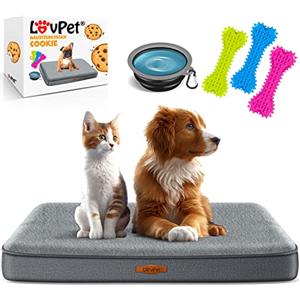 Lovpet® Letto ortopedico per cani M 76x51x7.6 cm, Cestino Cookie, con Ciotola + 3X Ossi da Masticare, Divano per Cani di Piccola, Media e Grande Taglia, Sfoderabile e Lavabile, Antracite/Grigio