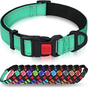 Taglory Collare per Cani, Imbottito Nylon Regolabile Traspirante Riflettente Collari per Cani di Taglia Piccola, Turchese