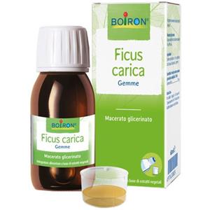 Boiron - Ficus Carica Confezione 60 Ml