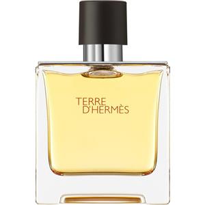 Hermes Terre D'Hermes Parfum 75 ml