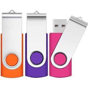 SRVR 2GB 3 Pezzi Chiavetta USB 2.0 SRVR Girevole Pen Drive per archiviazione dati Unità Pennetta USB con Corda (Multicolore)