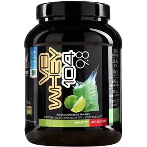 NET Vb whey 104 Optipep 9.8 450 grammi Net integratori