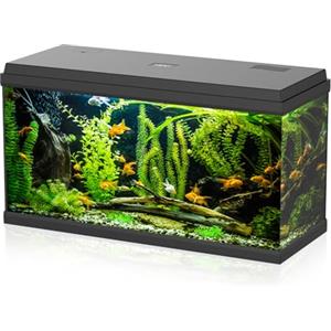 Aqpet Acquario in Vetro per Pesci tropicali Completo di Accessori Filtro Luce Simply, 100 80x32x47 cm 100 Litri