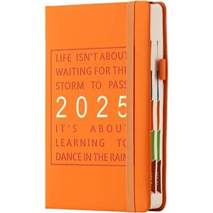 Goldaypln Agenda 2025, formato A5, una pagina al giorno, da gennaio a dicembre, planner giornaliero per tutto l'anno, con linguette mensili colorate, copertina rigida, con tasca interna, segnalibro (arancione)