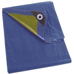 Perel Telo, 10 occhielli, angoli rinforzati, rettangolare, blu/verde, 70 g/m², 2 x 3 m