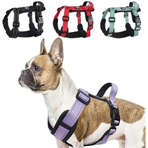 LiebeDD Pettorina Cane Taglia Piccola - Pettorina Antifuga Cane - Pettorina Anti Tiro per Cani Imbracatura Regolabile Bulldog Francese Pettorina per Addestramento e Easy Walk, Viola, S