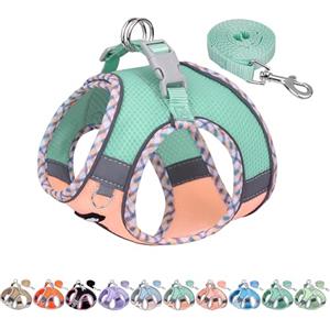 AIITLE Pettorina per cani anti-fuga, gilet anti-tiro con guinzaglio, strisce riflettenti, imbracature regolabili per animali domestici all'aperto per cani di taglia media, Turchese-Rosa XXXS