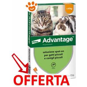 Elanco Advantage 40 mg Gatto inferiore 4 kg - Offerta [PREZZO A CONFEZIONE] Quantità minima 4, Confezione da 4 Pipette