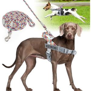 Onlyesh Pettorina Cane Taglia Media, con 1.5M Guinzaglio per Cani, Regolabile, Traspirante Pettorina Antifuga Cane, pettorina cane Riflettente per Passeggiate, Jogging, Addestramento, M