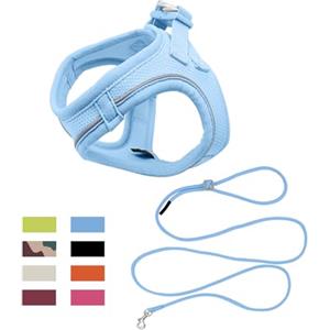Qianruida Pettorina Cane, Step-in Imbracatura per Cani con Guinzaglio, Riflettente Traspirante Mesh Morbido Comfort Regolabile Facile Da Indossare Gilet Imbracatura per Camminare Correre (Blu M)