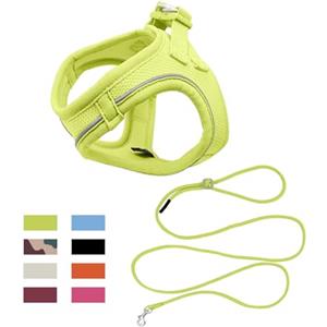 Qianruida Guinzaglio per Gatti Guinzaglio per Cani Piccoli Cane Regolabile Pettorina Gatto Pettorina H Cane Anti Tiro per Cani/Gatti (Verde Lime, XS)