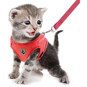FEimaX Imbracatura e Guinzagli Set per Cani, Pettorina Imbottita a Morbida per Cuccioli e Gatti, Imbracature di Traspiranti Regolabili Riflettenti per Camminare, Corsa, Allenamento