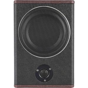 Sengfwin Subwoofer Attivo 8 Pollici Sotto Il Seggiolino Auto Ultra-Sottile In Acciaio Inox 12V 600W Altoparlante Compatto