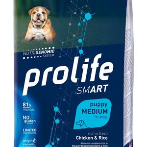 Prolife Croccantini per cani Prolife Smart Puppy Medium pollo e riso - 10Kg