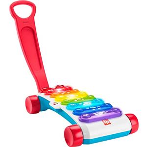 Fisher-Price Xilofono Gigante - Giocattolo Elettronico Musicale Trainabile con Canzoni Educative per Bambini 9-36 Mesi