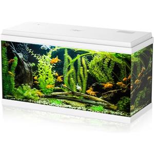 Aqpet Acquario in Vetro per Pesci tropicali Completo di Accessori Filtro Luce Simply, 100 80x32x47 cm 100 Litri, Bianco