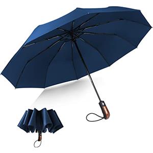 KASTEWILL Ombrello Portatile Automatico Pieghevole, Ombrelli Compatto Antivento Robusto Durevole, Rivestimento in Teflon 210T, Ombrello Pioggia da Diametro 106cm 10 Ossa, per Uomo e Donna (Blu)