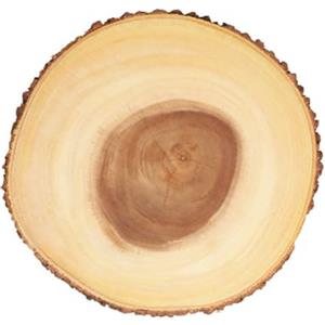Artesa Artesà ARTBARKLRG Tagliere di Formaggio a Tronco di Legno, Piatto da Portata per Torte, Dessert, Buffet e Pranzi, Marrone, Grande (approx 35 cm)