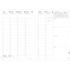 Quo Vadis Agenda MINISTRO Quo Vadis 0151063Q Lingua Italiana - Anno 2025, Color Cipria, 16x24 cm, Settimanale 13 Mesi Dicembre-Dicembre Carta Bianca, Rubrica Estraibile, Copertina Sfoderabile in Tessuto Gaia