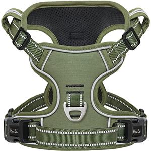 HEELE Pettorina per Cani No-pull Pettorina Cane con Manico Imbracatura Riflettente Traspirante, Robusta Pettorina Cane Taglia Piccola per Camminare, Addestrare Le Passeggiate, Verde, XS