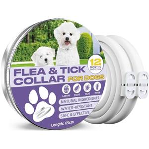 AstraVox Collare Antiparassitario Per Cani, 12 Mesi Di Protezione Efficace, Collare Antipulci Cane Da 65cm, Regolabile e Impermeabile, Efficace Repellente per Insetti, Adatto a Cani Di Tutte Le Taglie (2 Pack)