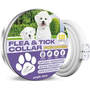 AstraVox Collare Antipulci Cane, Collare Antipulci Cane Da 65cm, Regolabile e Impermeabile, Adatto a Cani Di Tutte Le Taglie (1 Pack)