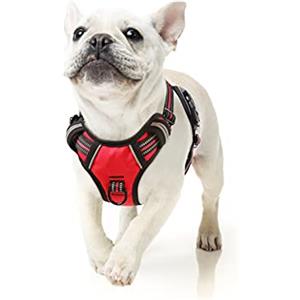 HEELE Pettorina per Cani No-pull Pettorina Cane con Manico Imbracatura Riflettente Traspirante, Robusta Pettorina Cane Taglia Piccola, per Camminare, Addestrare Le Passeggiate, Rosso, S