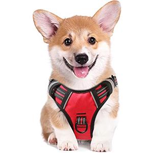 HEELE Pettorina Cane Taglia Media Riflettente Pettorina Addestramento Cani Anti Tiro con 2 Ganci in Metallo + Comodo Maniglia, Gilet per Cani Regolabile per Camminare, Rosso, M