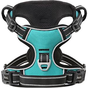 HEELE Pettorina per Cani No-pull Pettorina Cane con Manico Imbracatura Riflettente Traspirante, Robusta Pettorina Cane Taglia Piccola, per Camminare, Addestrare Le Passeggiate, Turchese, XS