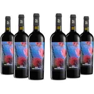 Brumale Vino Rosso Terre Siciliane IGT, Gusto Pieno e Rotondo, Profumo di ciliegia, 12% Vol, Confezione con 6 Bottiglie da 750 ml