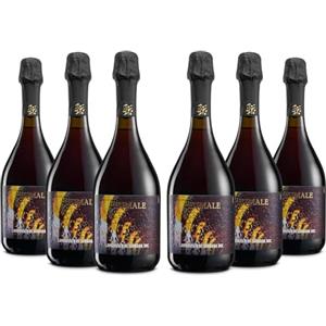 Brumale Lambrusco di Sorbara DOC Frizzante Secco, Gusto fresco e persistente, Profumi di fragolina di bosco e viole fresche, 11% Vol, Confezione con 6 Bottiglie da 750 ml